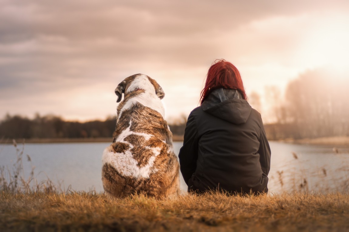 (Italiano) LEGALE – Affido degli animali d’affezione in caso di separazione dei coniugi